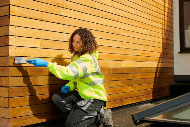 Best Siding Painting and Refinishing  in Willows, CA